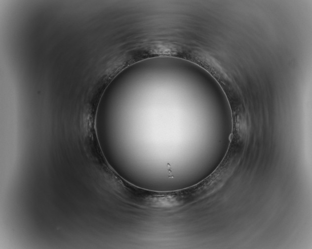 X0000096140322200801181138
