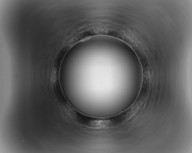 X0000096140323200801181138
