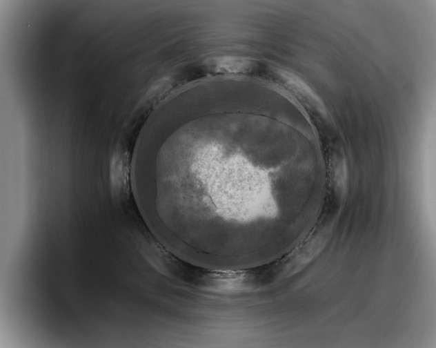 X0000096140328200801181138