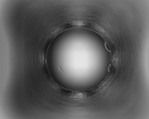 X0000096140330200801181138