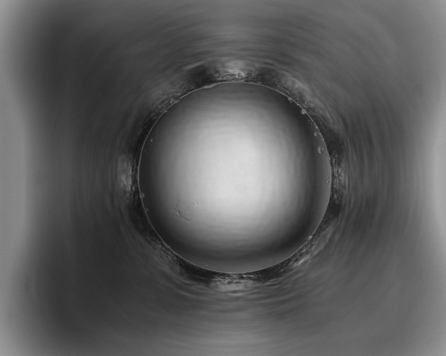 X0000096140331200801181138