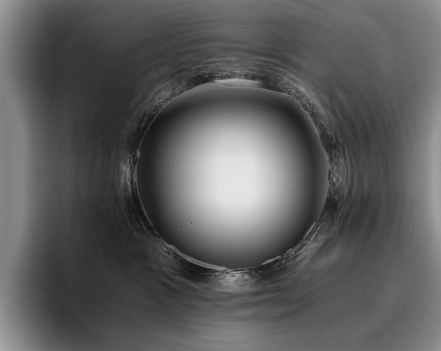 X0000096140333200801181138