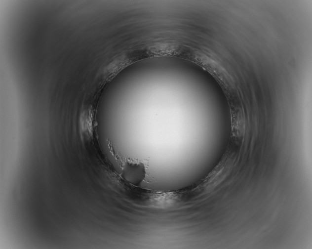 X0000096140334200801181138