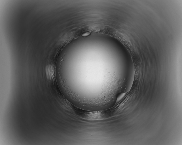 X0000096140335200801181138