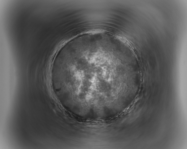 X0000096140337200801181137