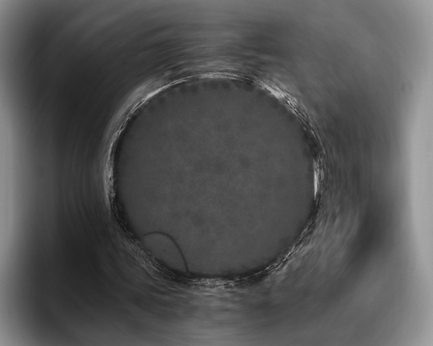 X0000096140339200801181137