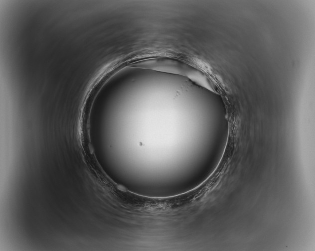 X0000096140340200801181137