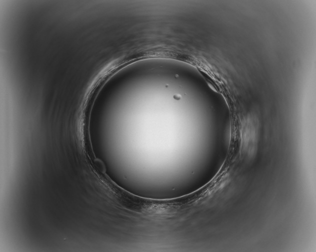 X0000096140341200801181137
