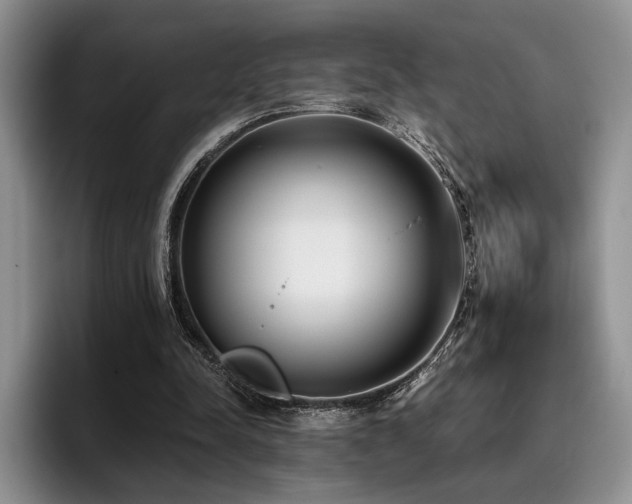 X0000096140342200801181137
