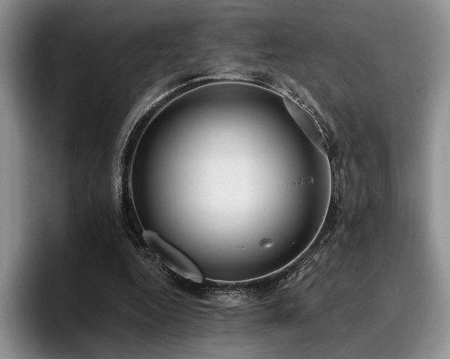 X0000096140344200801181137