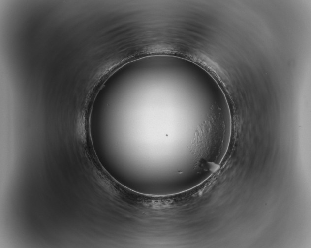 X0000096140345200801181137