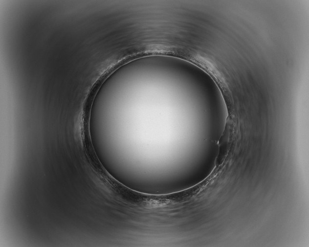 X0000096140346200801181137