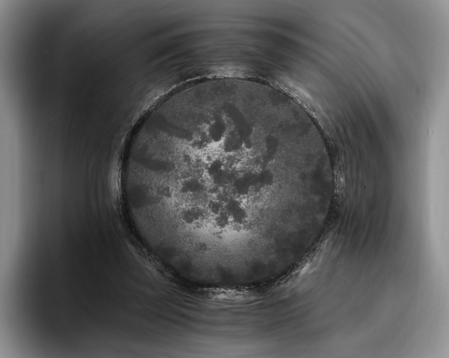 X0000096140347200801181137