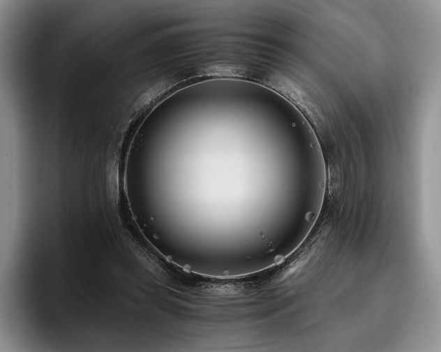 X0000096140349200801181137
