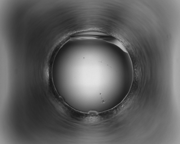 X0000096140350200801181137