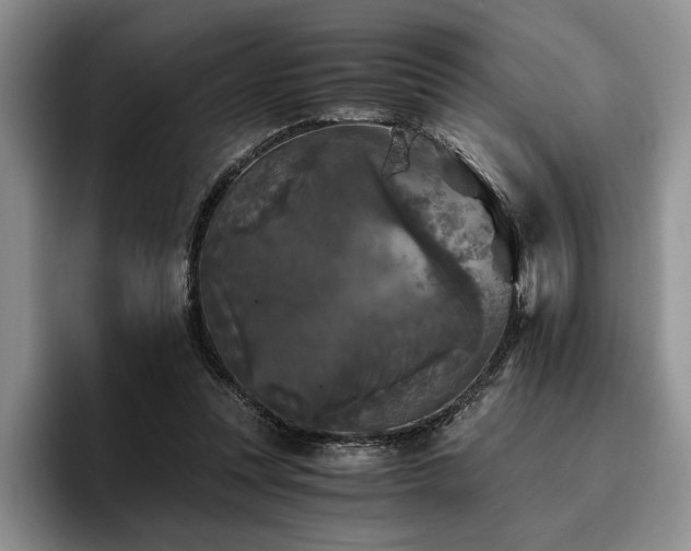 X0000096140351200801181137