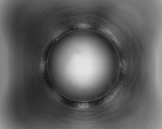 X0000096140355200801181137