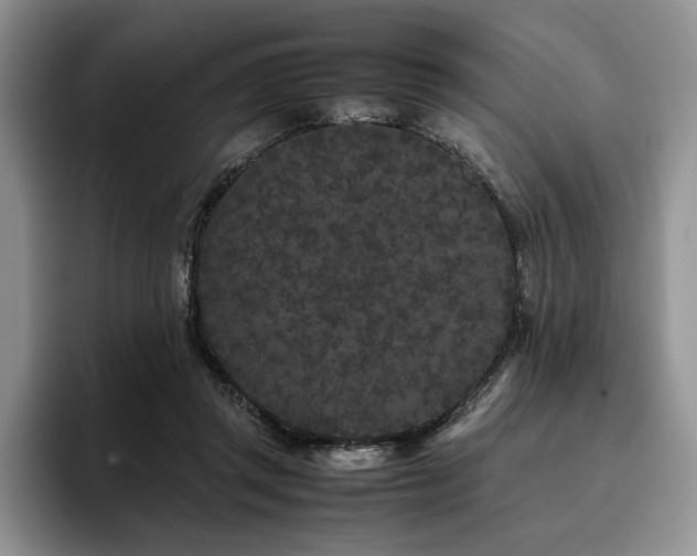 X0000096140357200801181137