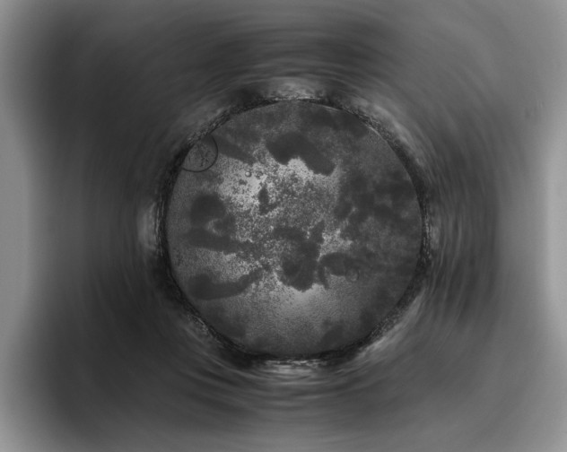 X0000096140359200801181137