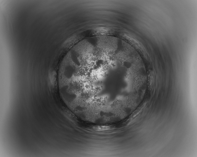 X0000096140361200801181137