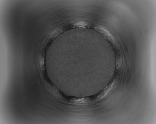 X0000096140365200801181137