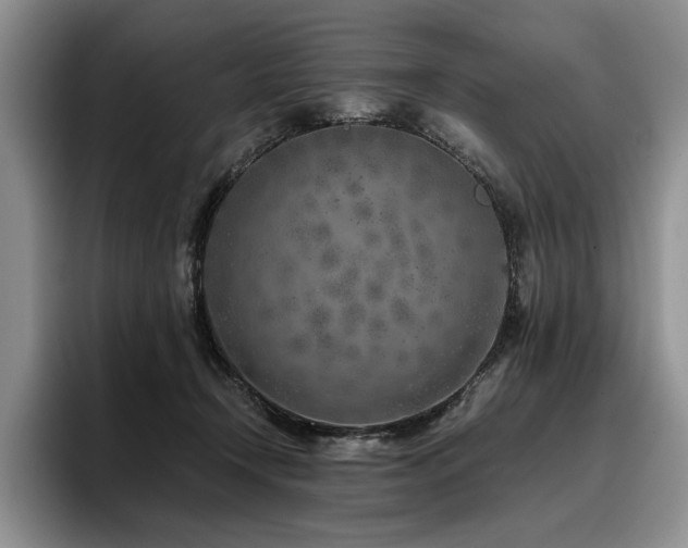 X0000096140366200801181137
