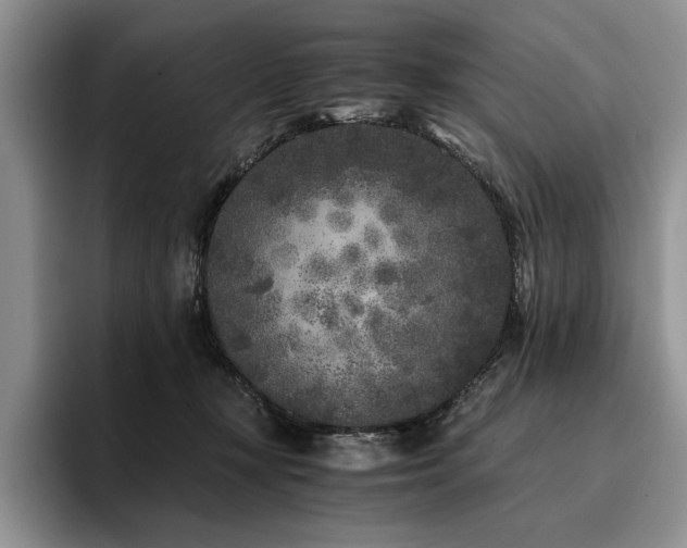 X0000096140367200801181137