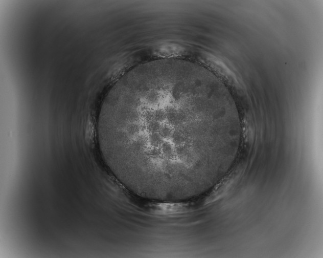 X0000096140371200801181137