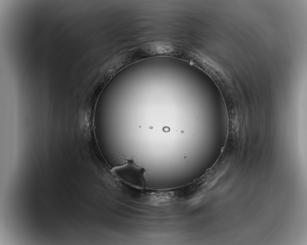 X0000096140373200801181137