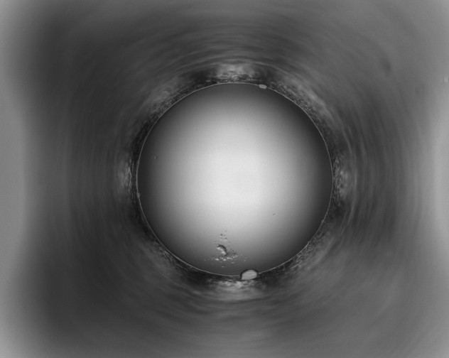 X0000096140375200801181137