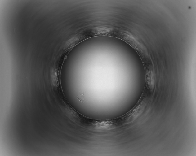 X0000096140378200801181138