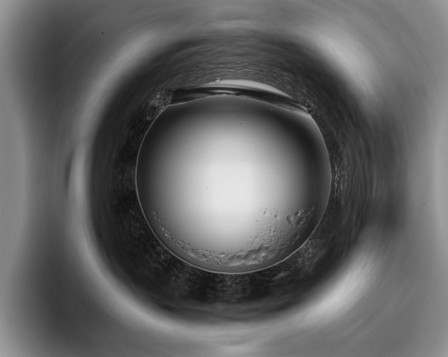 X0000096140383200801181138