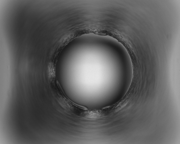 X0000096140384200801181138