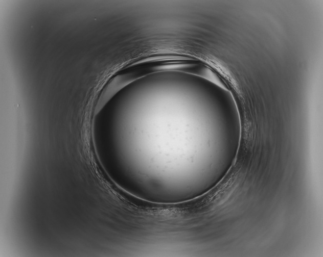 X0000096140385200801181137