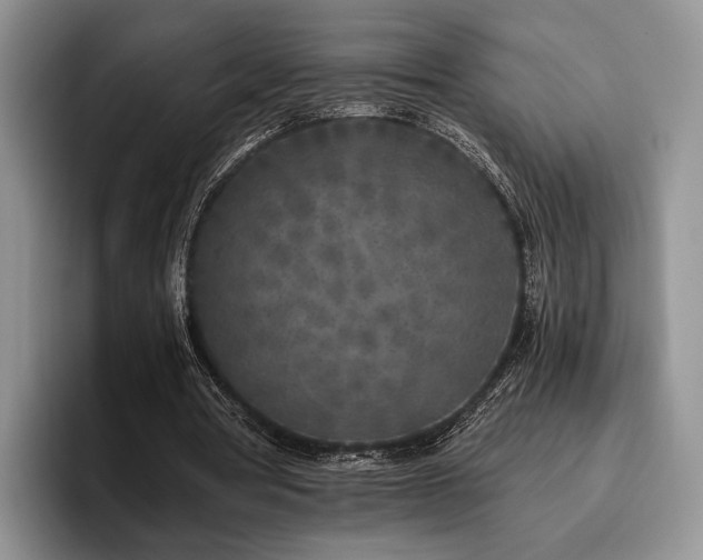X0000096140386200801181137