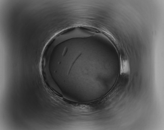 X0000096140387200801181137