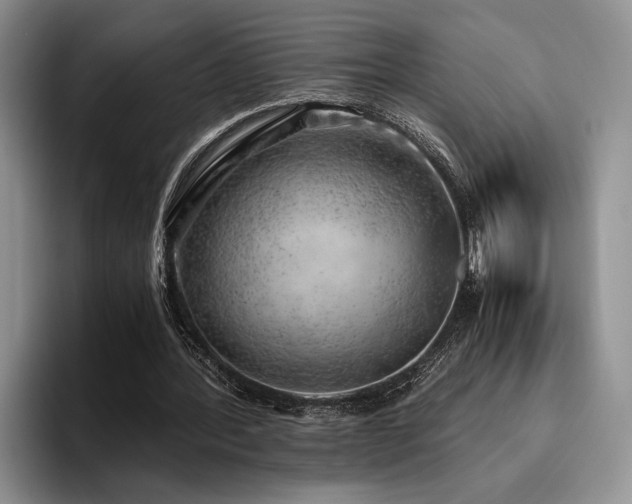 X0000096140388200801181137