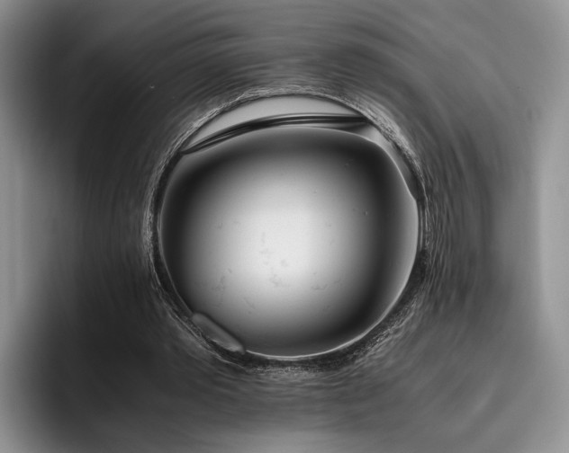 X0000096140389200801181137