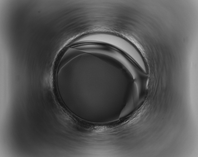 X0000096140391200801181137