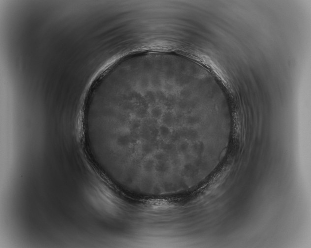 X0000096140392200801181137
