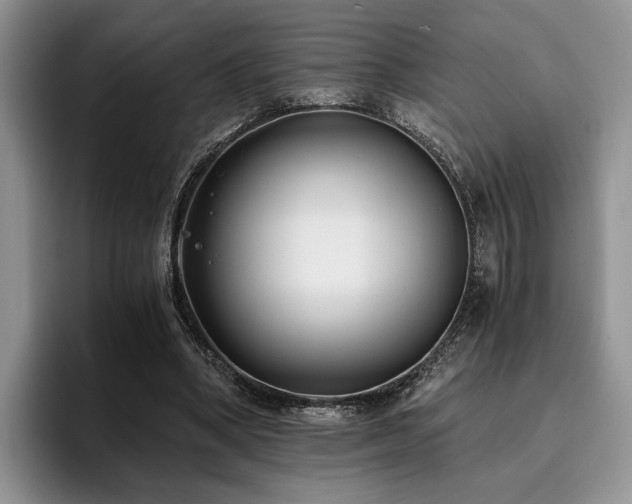 X0000096140394200801181137