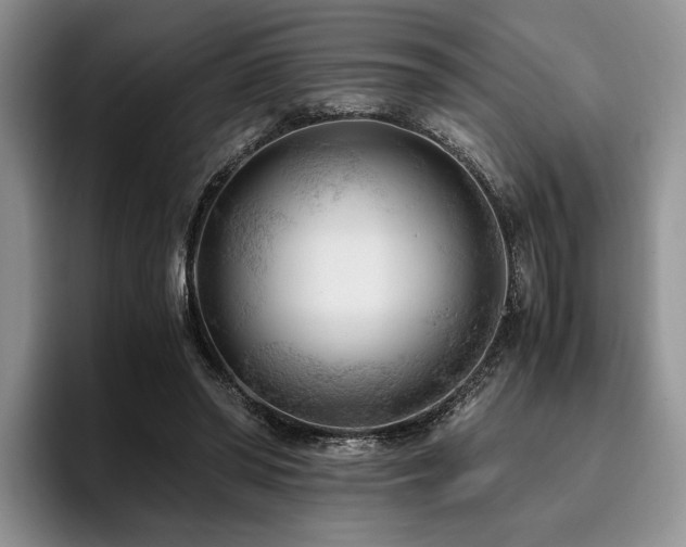 X0000096140398200801181137