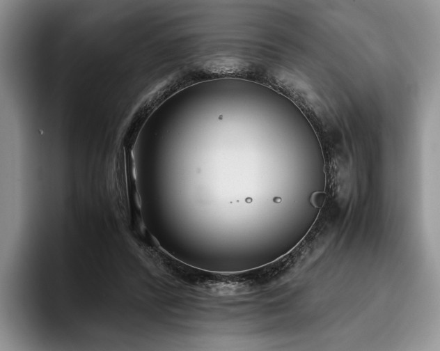 X0000096140400200801181137