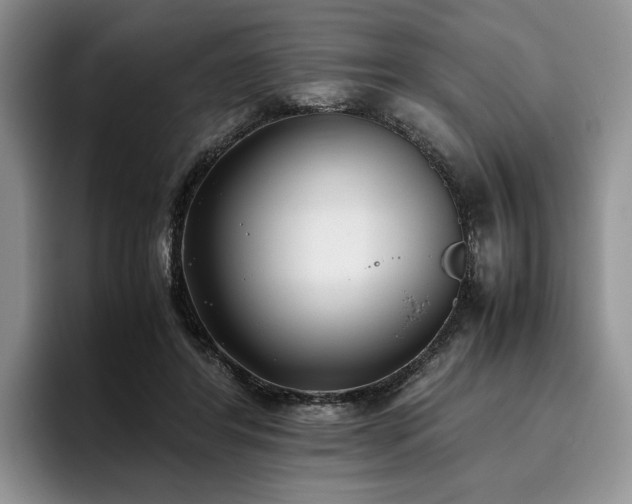 X0000096140404200801181137