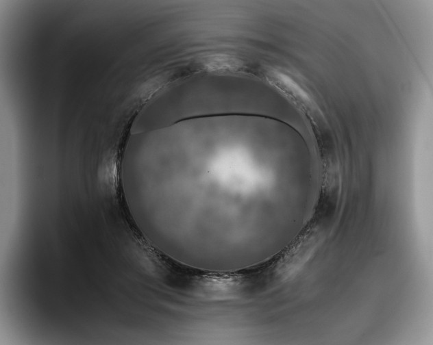X0000096140405200801181137