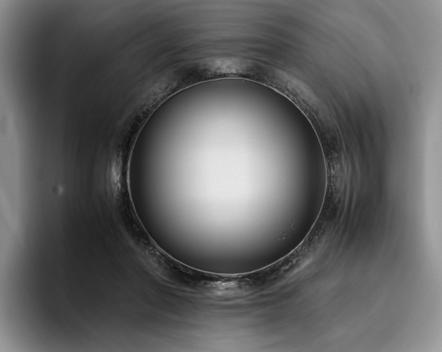 X0000096140406200801181137
