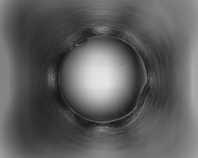X0000096140408200801181137
