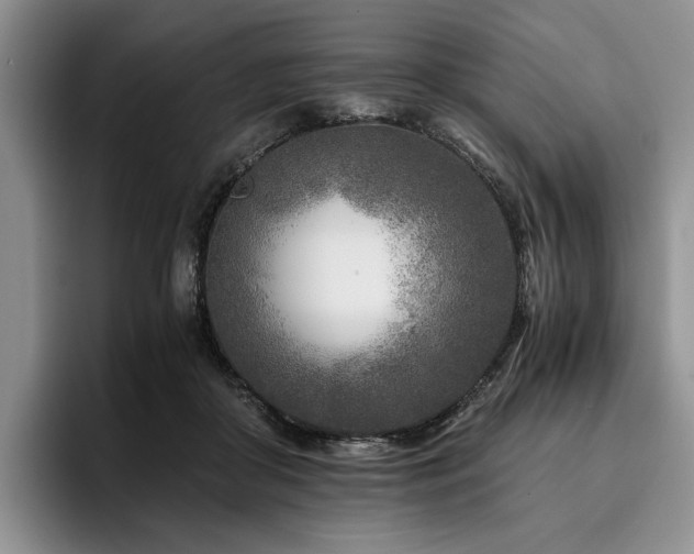 X0000096140410200801181137