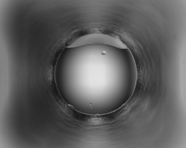 X0000096140413200801181137