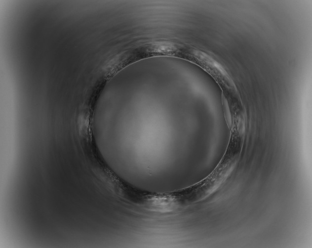 X0000096140415200801181137